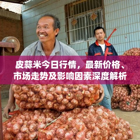 皮蒜米今日行情，最新價(jià)格、市場(chǎng)走勢(shì)及影響因素深度解析