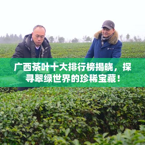 廣西茶葉十大排行榜揭曉，探尋翠綠世界的珍稀寶藏！