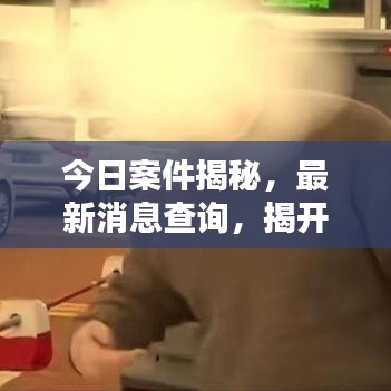 今日案件揭秘，最新消息查詢，揭開真相的面紗