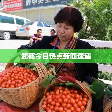 武都今日熱點(diǎn)新聞速遞