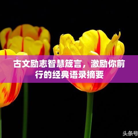 古文勵(lì)志智慧箴言，激勵(lì)你前行的經(jīng)典語(yǔ)錄摘要