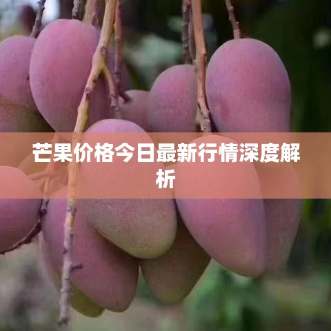 芒果價(jià)格今日最新行情深度解析