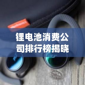 鋰電池消費(fèi)公司排行榜揭曉，行業(yè)巨頭及未來趨勢(shì)展望