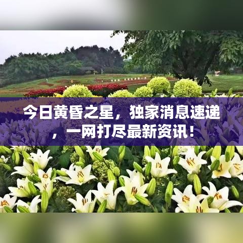 今日黃昏之星，獨(dú)家消息速遞，一網(wǎng)打盡最新資訊！