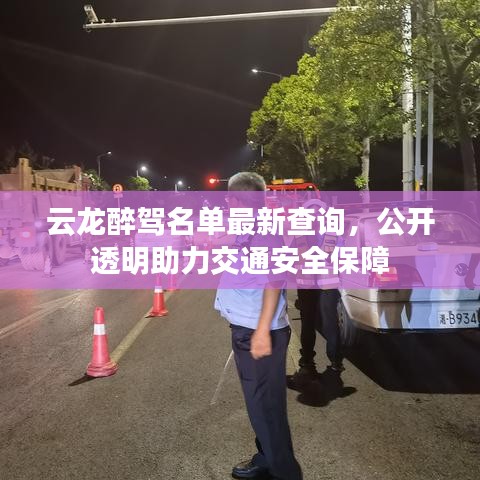 云龍醉駕名單最新查詢，公開透明助力交通安全保障