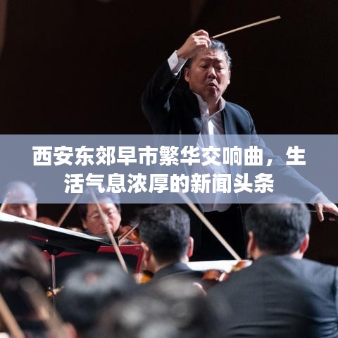 西安東郊早市繁華交響曲，生活氣息濃厚的新聞?lì)^條