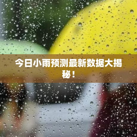 今日小雨預(yù)測(cè)最新數(shù)據(jù)大揭秘！