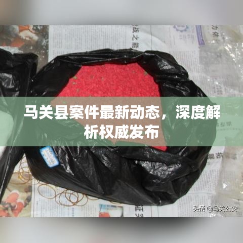 馬關縣案件最新動態(tài)，深度解析權威發(fā)布