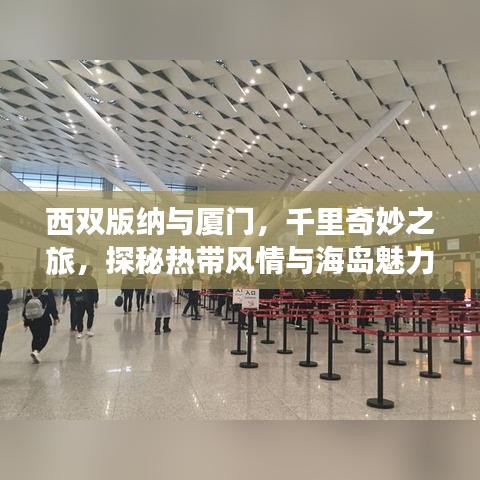 西雙版納與廈門，千里奇妙之旅，探秘?zé)釒эL(fēng)情與海島魅力