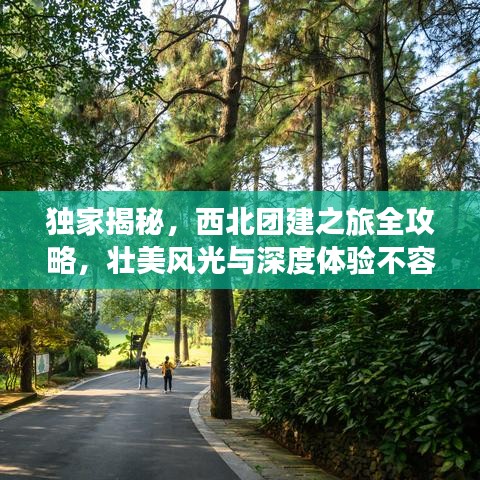 獨(dú)家揭秘，西北團(tuán)建之旅全攻略，壯美風(fēng)光與深度體驗(yàn)不容錯過！