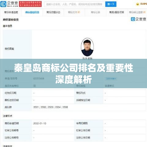 百不得一 第2頁