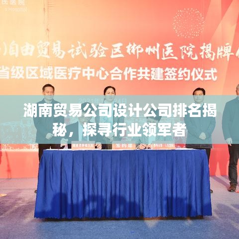 湖南貿(mào)易公司設(shè)計(jì)公司排名揭秘，探尋行業(yè)領(lǐng)軍者