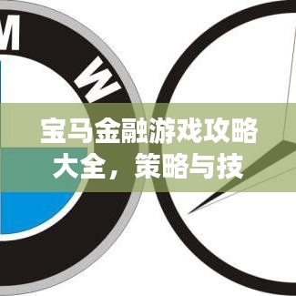 寶馬金融游戲攻略大全，策略與技巧助你輕松玩轉(zhuǎn)金融游戲！