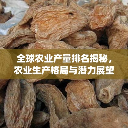 全球農(nóng)業(yè)產(chǎn)量排名揭秘，農(nóng)業(yè)生產(chǎn)格局與潛力展望