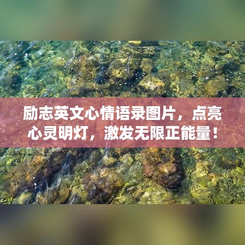 勵志英文心情語錄圖片，點(diǎn)亮心靈明燈，激發(fā)無限正能量！