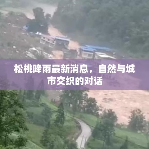 松桃降雨最新消息，自然與城市交織的對話