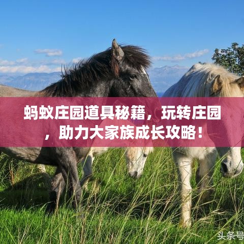 螞蟻莊園道具秘籍，玩轉(zhuǎn)莊園，助力大家族成長(zhǎng)攻略！