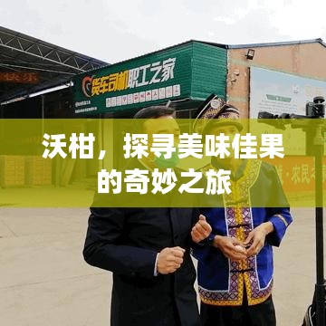 沃柑，探尋美味佳果的奇妙之旅