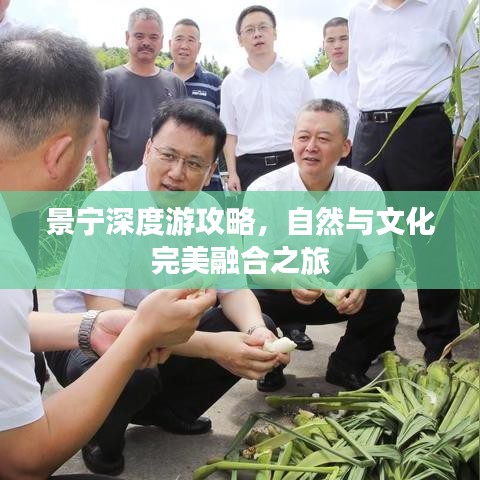 景寧深度游攻略，自然與文化完美融合之旅