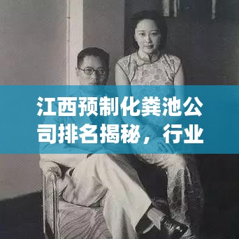 江西預制化糞池公司排名揭秘，行業(yè)洞察與深度解析