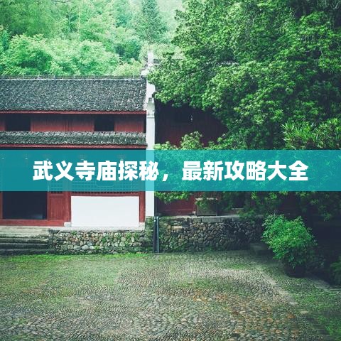 武義寺廟探秘，最新攻略大全