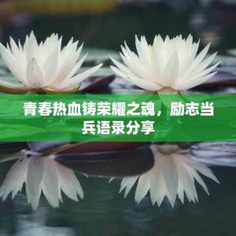 青春熱血鑄榮耀之魂，勵志當(dāng)兵語錄分享