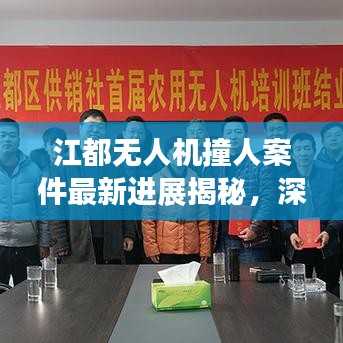 江都無人機撞人案件最新進展揭秘，深度探究權(quán)威解讀