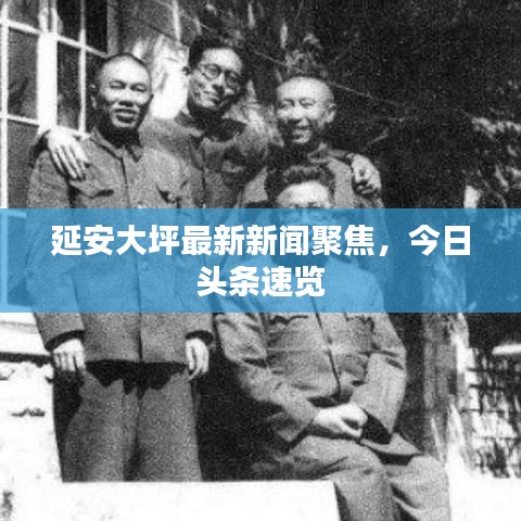 延安大坪最新新聞聚焦，今日頭條速覽