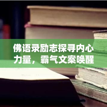 衣不兼采 第2頁