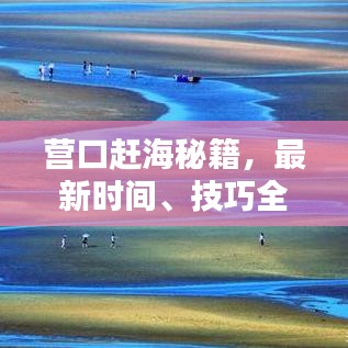 營口趕海秘籍，最新時間、技巧全攻略！