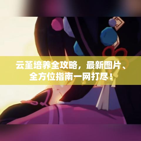 云堇培養(yǎng)全攻略，最新圖片、全方位指南一網(wǎng)打盡！