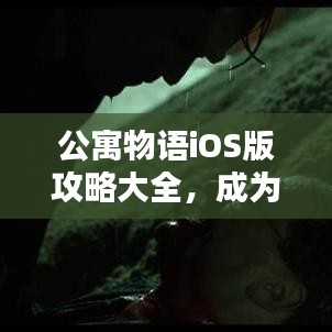 公寓物語iOS版攻略大全，成為頂尖玩家的終極指南！