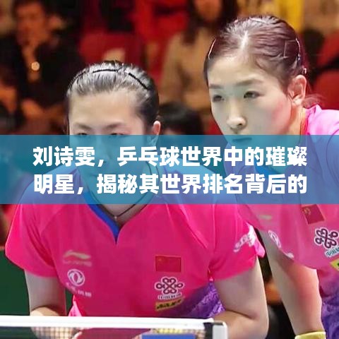 劉詩雯，乒乓球世界中的璀璨明星，揭秘其世界排名背后的故事