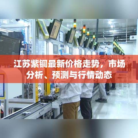 2025年5月11日 第8頁