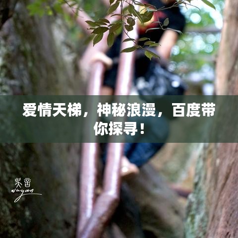 愛(ài)情天梯，神秘浪漫，百度帶你探尋！