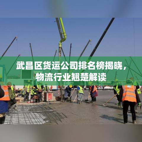 武昌區(qū)貨運(yùn)公司排名榜揭曉，物流行業(yè)翹楚解讀