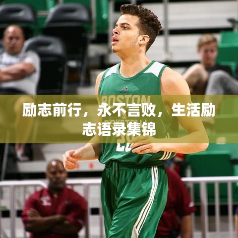 2025年5月12日 第39頁(yè)