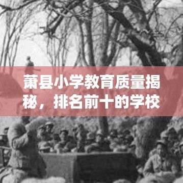 蕭縣小學(xué)教育質(zhì)量揭秘，排名前十的學(xué)校有哪些過人之處？