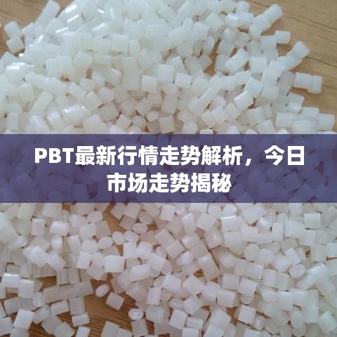 PBT最新行情走勢解析，今日市場走勢揭秘