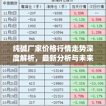 純堿廠家價(jià)格行情走勢(shì)深度解析，最新分析與未來(lái)展望
