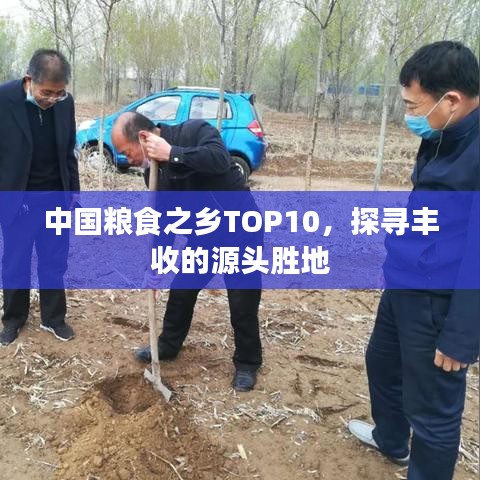 中國(guó)糧食之鄉(xiāng)TOP10，探尋豐收的源頭勝地