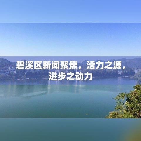 碧溪區(qū)新聞聚焦，活力之源，進步之動力
