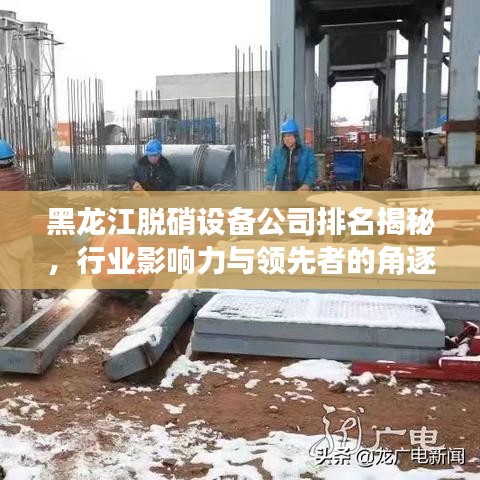 黑龍江脫硝設(shè)備公司排名揭秘，行業(yè)影響力與領(lǐng)先者的角逐