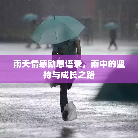 雨天情感勵(lì)志語錄，雨中的堅(jiān)持與成長之路