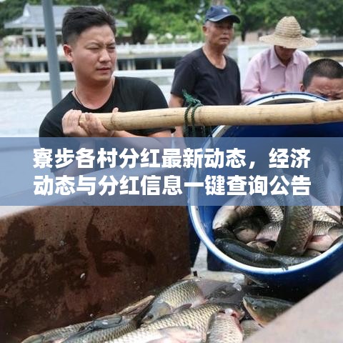 2025年5月12日 第10頁