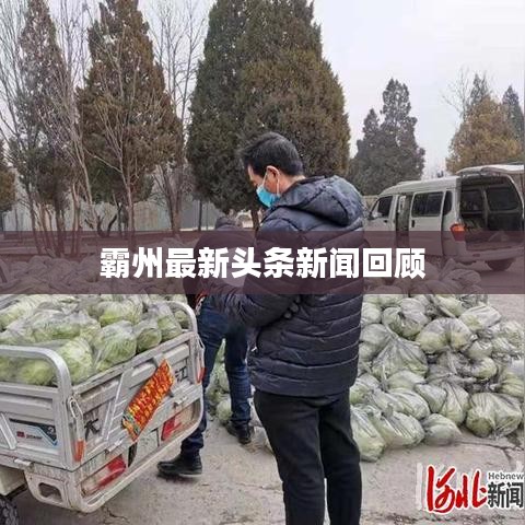 霸州最新頭條新聞回顧