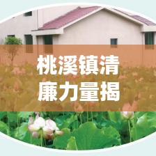 桃溪鎮(zhèn)清廉力量揭秘，新聞頭條帶你領(lǐng)略清廉風(fēng)采與最新動態(tài)