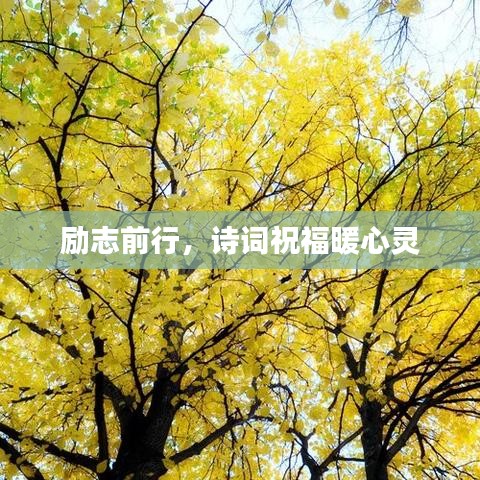 勵志前行，詩詞祝福暖心靈