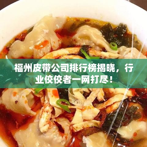 福州皮帶公司排行榜揭曉，行業(yè)佼佼者一網(wǎng)打盡！