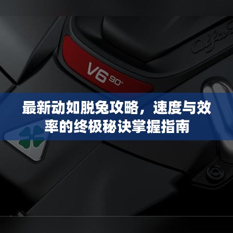 最新動如脫兔攻略，速度與效率的終極秘訣掌握指南